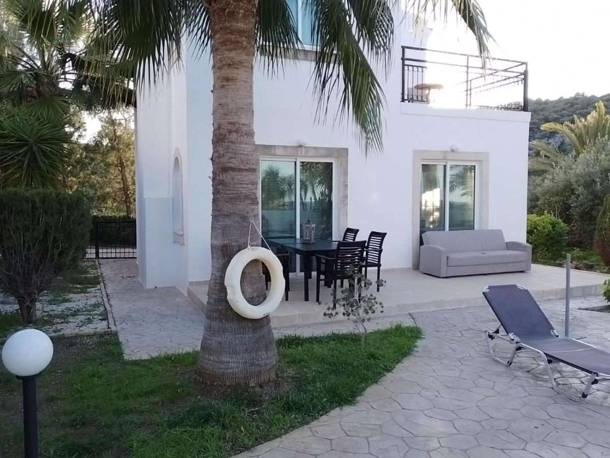 Villa Chrysanthemum Neo Chorio Exterior photo
