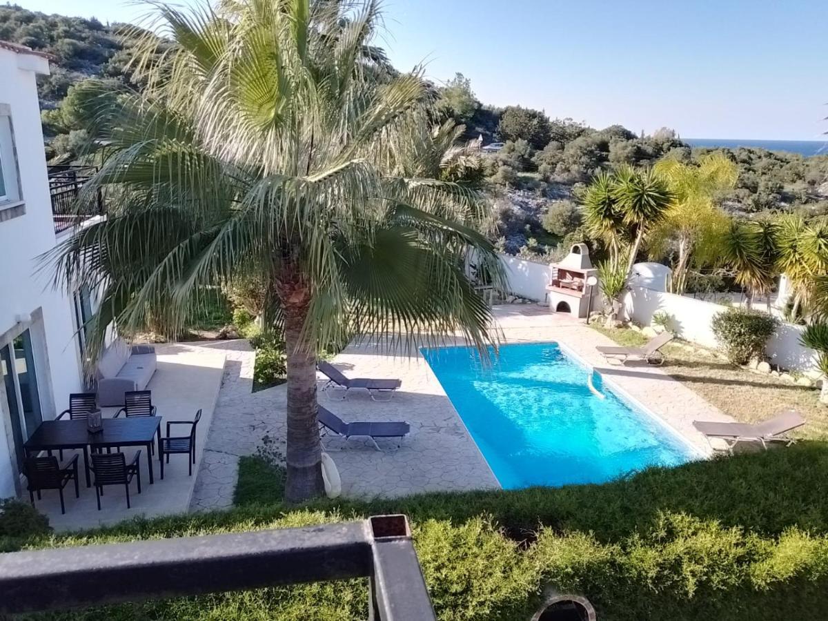 Villa Chrysanthemum Neo Chorio Exterior photo